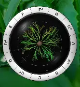 人工智能合成器!Sonic Charge Synplant 2 v2.0.1 WIN版vst615音频资源网-音频网站-vst3插件下载-音频网-音频插件下载-机架源码-插件源码-源码-vst插件 vst615音频资源网