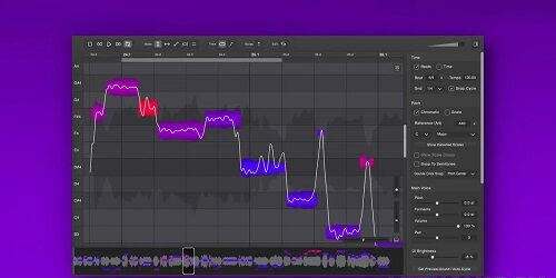 DoublePi Technologies - Vovious v1.0.9 SAL，VST3，AAX，AU WIN。OSX x64 [CE-V.R] - 音高移位器vst615音频资源网-音频网站-vst3插件下载-音频网-音频插件下载-机架源码-插件源码-源码-vst插件 vst615音频资源网